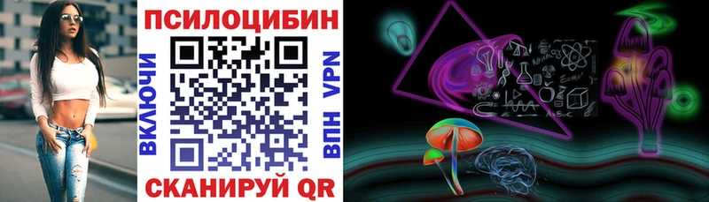 Галлюциногенные грибы Psilocybe  Отрадная 